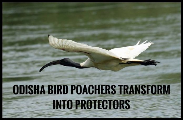 Odisha- pg Odisha Pg