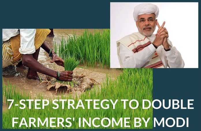 7-step strategy to double farmers' income by Modi Farmer