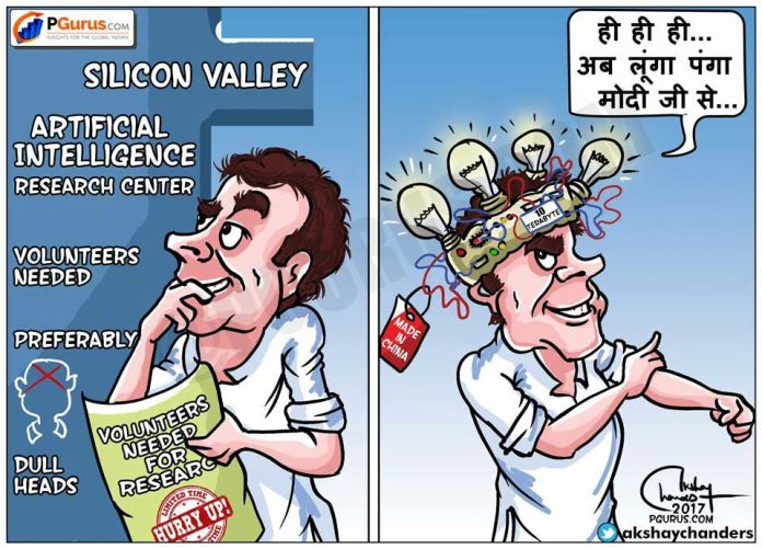 RaGaUCBHi क्या बिल्ली को एक शेर की तरह दिखने के लिए stripes पेंट कर रहा है?