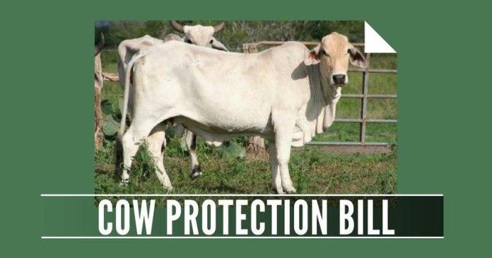 CPB1811 The Cow Protection Bill, 2017 will be tabled for discussion and approval by Subramanian Swamy in the Rajya Sabha