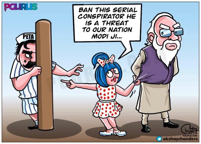 Amuv vs Peta PETA Vs Amul: Increasing chorus to ban PETA