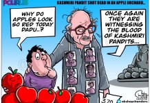 What is the point of the abrogation of Article 370 if Kashmiri Pandits/ Hindus cannot live & breathe safely in Kashmir? KPs