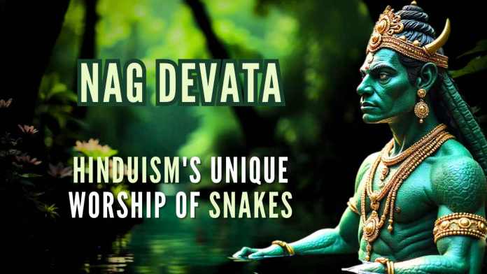 Nag Devata Hinduism or Sanatana Dharma stands apart, from all other belief systems, in its identification of other living beings, as being critical for human welfare and spiritual progression