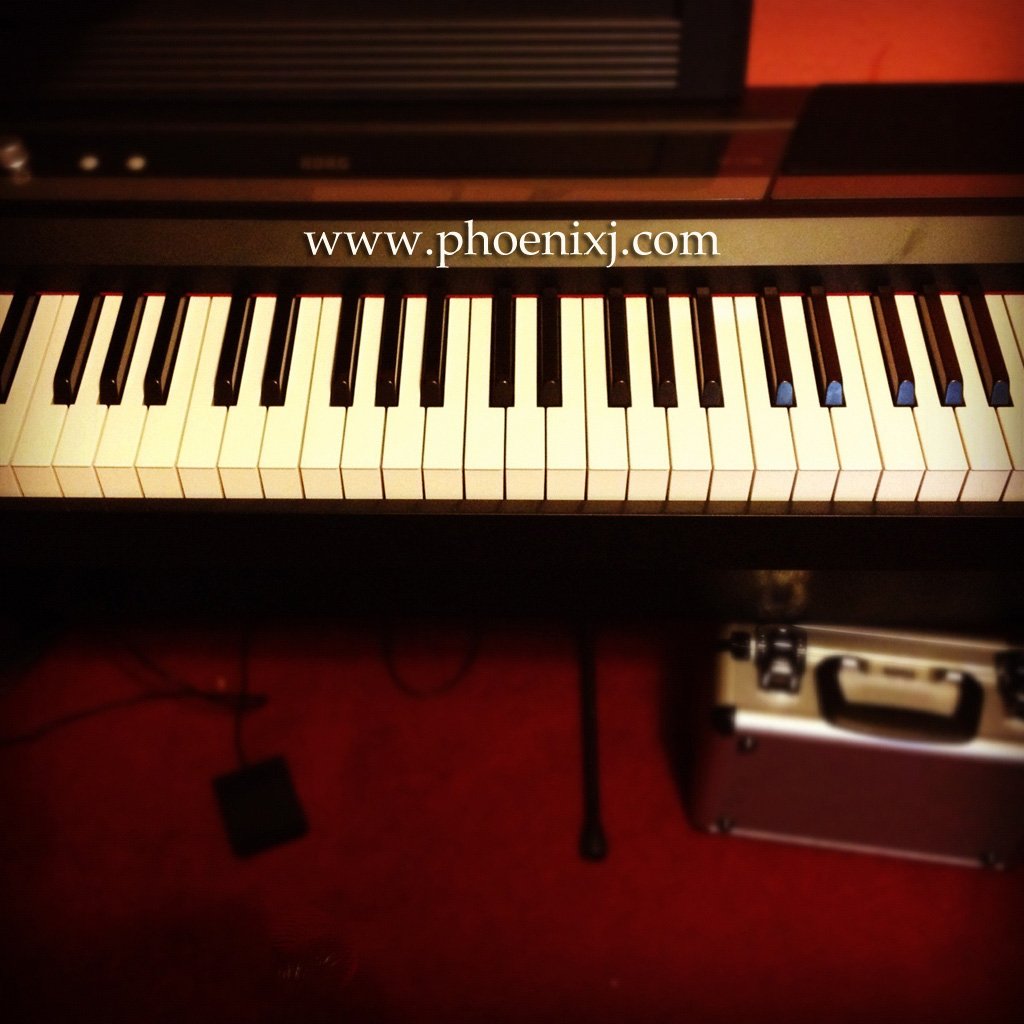 My Korg SP170s