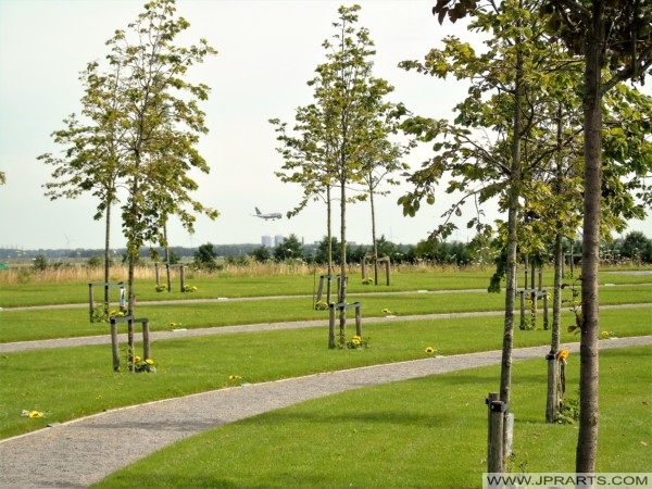 Some of the 298 Trees which were planted at the Dutch National Monument MH17 in Form of a Green Ribbon. Each Tree representing a Person on Board of Flight MH17
