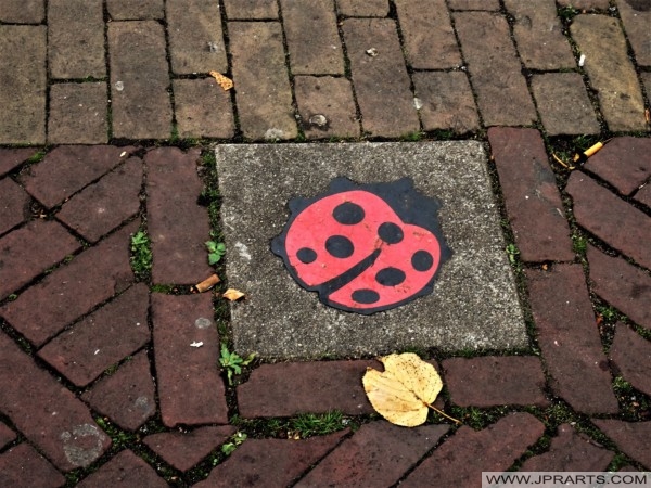 Senseless Violence (Zinloos Geweld) in The Netherlands