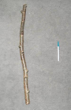 Post your futuristic weapon