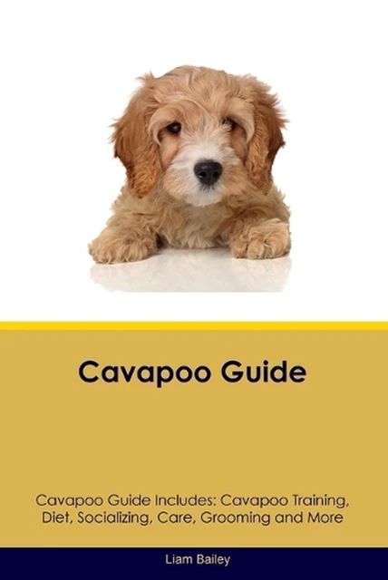 Ultimate Cavapoo Guide Owner Tips And Complete Breed Guide Cavapoo Co - Incredible HD Vintage Patterns | Free Download
