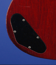 Gibson SG バックプレート ハカランダ Gibson SG バックプレート ハカランダ