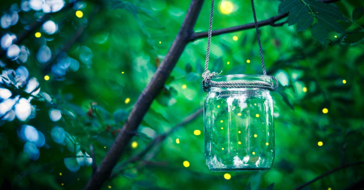 20+ Lovely Gatlinburg Outdoor Weddings - The TOMB Game Adventure in Pigeon Forge : Whether you have a gorgeous porch or small balcony, nature makes the best backdrop for outdoor entertaining.