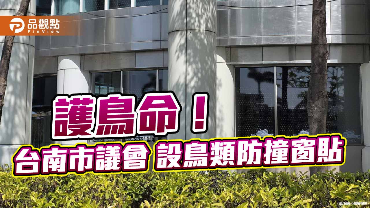 台南議會軟網隊員在球場專注揮拍，展現挑戰四連霸鬥志。