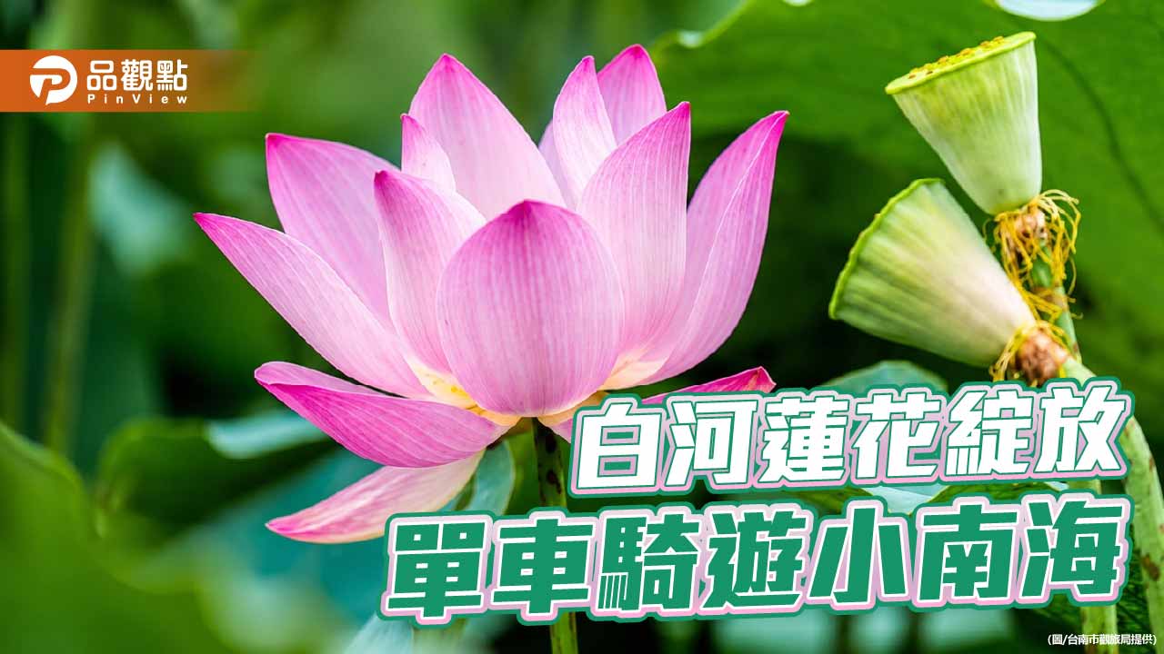 台南與仙台馬拉松選手於賽道奔跑，深化友誼城市交流。
