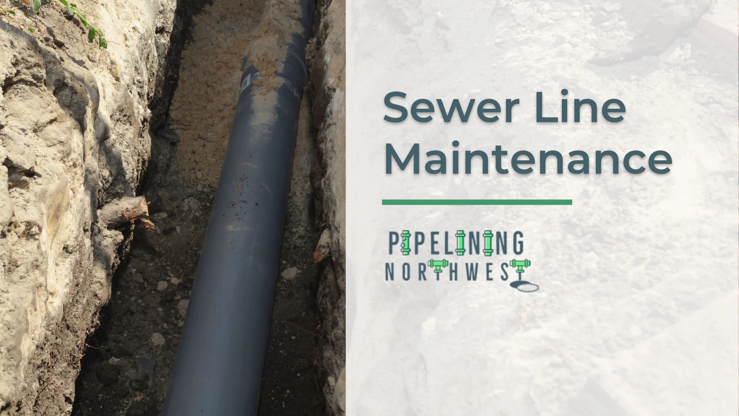 Easy sewer line maintenance tips
