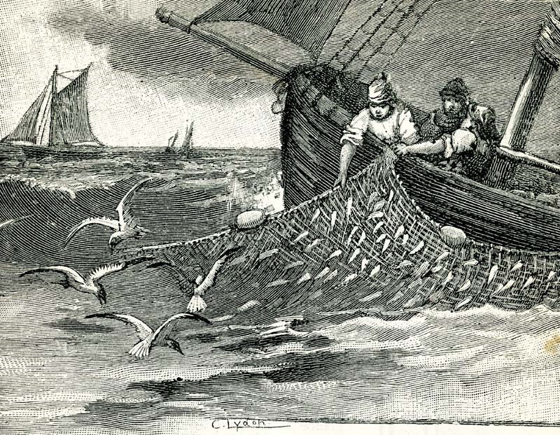 Herring fishing in 1894 Pip's Patch