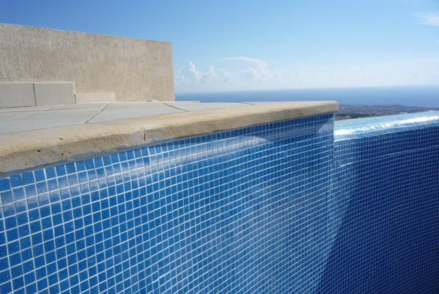 Learn the pros and cons of each type of pool. Water line or mark stains in a swimming pool, causes, what
