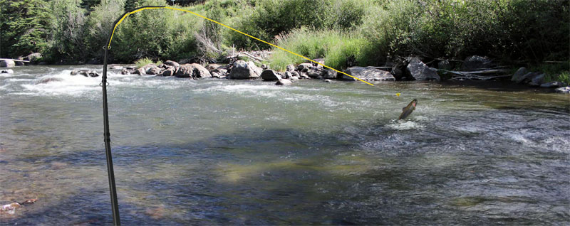 Fishing Games Improvememory Brain Games For Kids And Adults 