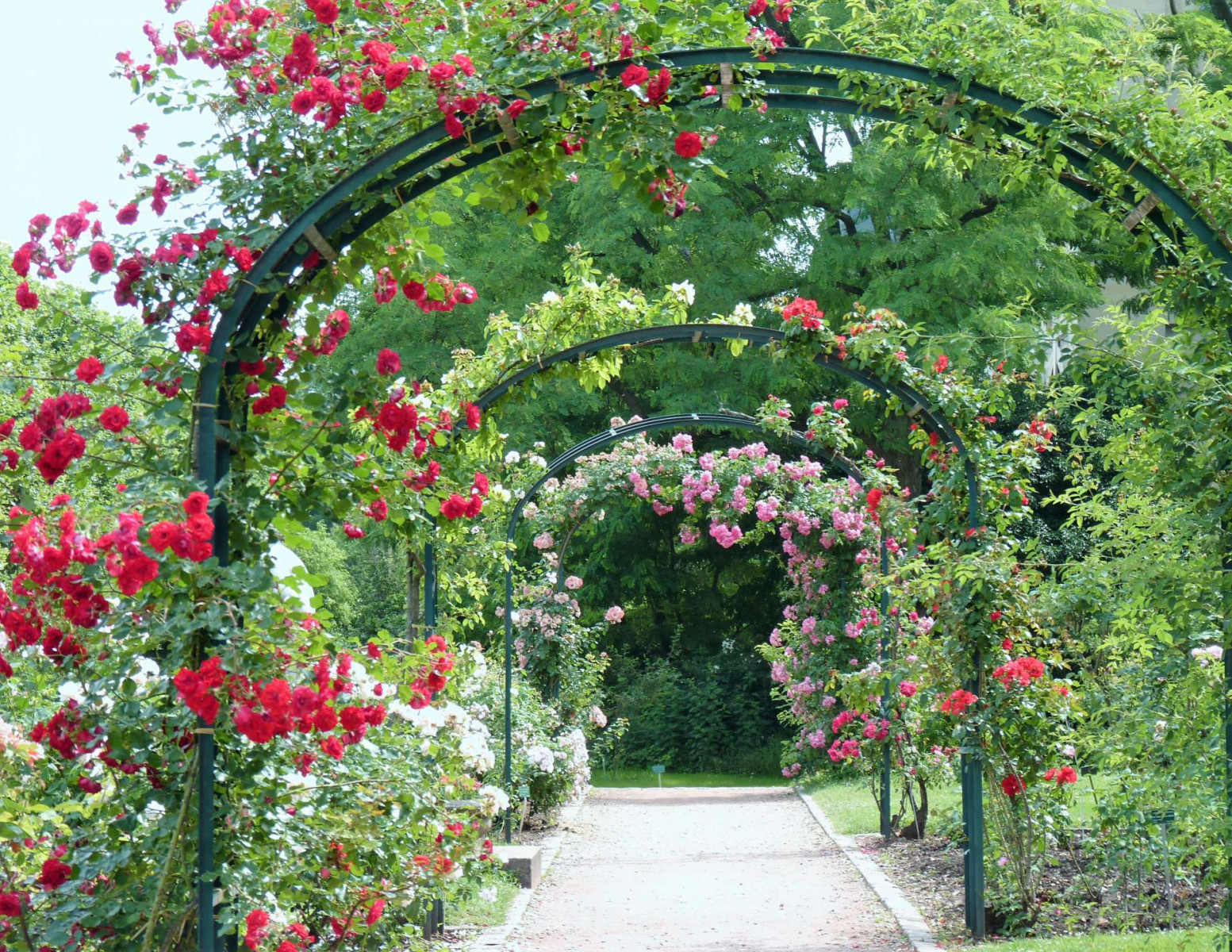 Facebook gives people the power to share and makes the world … La Roseraie du Jardin des Plantes à Paris - Avis et photos d'un local