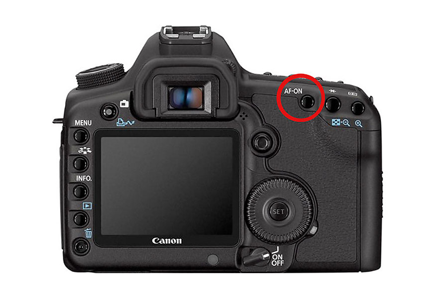 Back Button Focus Explained Back Button Focus in Nikon and Canon