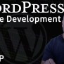 WordPress Theme Development With DevWP 2024 - PixemWeb