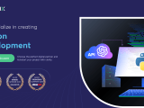 Best Python Development Services Company Python Development Agency