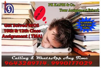 nios-solved-assignment