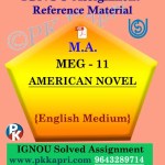 IGNOU Solved Assignment | MEG-11 AMERICAN NOVEL