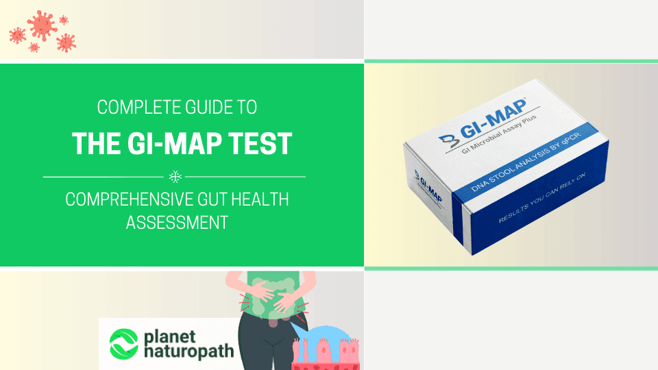 Complete Guide To The GI Map Test Updated 2026 Planet Naturopath Complete Guide To The GI Map Test 
