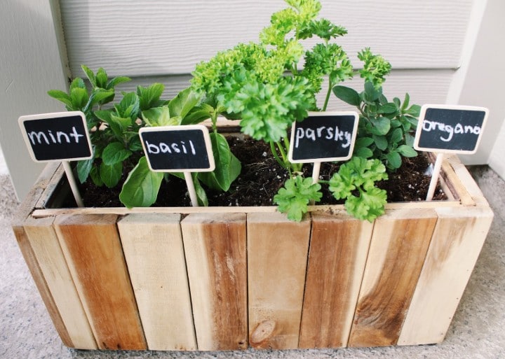 hierbas para el jardín del balcón - Excelentes ideas para jardines en balcón