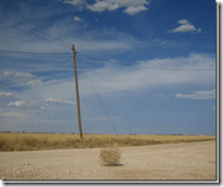 The Crowds of Second Life