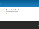 Drupal Hosting Fully Managed 99 9 Uptime Plothost