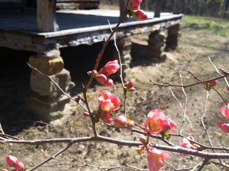 What We Say Matters Plum Prairie Ranch what-we-say-matters-plum-prairie-ranch