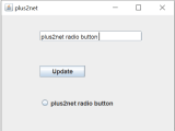 Applications With Source Code On Using Jradiobutton