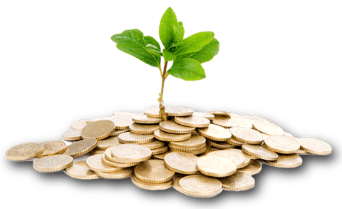 There's nothing like being outdoors and crafting a beautiful front or backyard. Save Money Png Transparent Images Png All