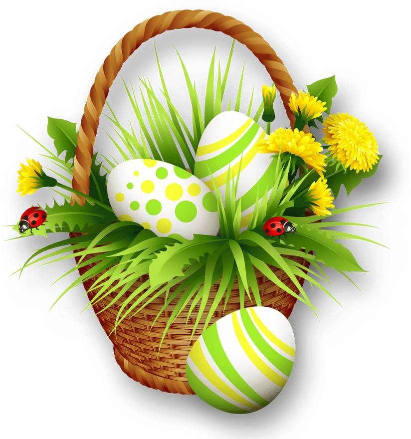 Cover Image of the Post