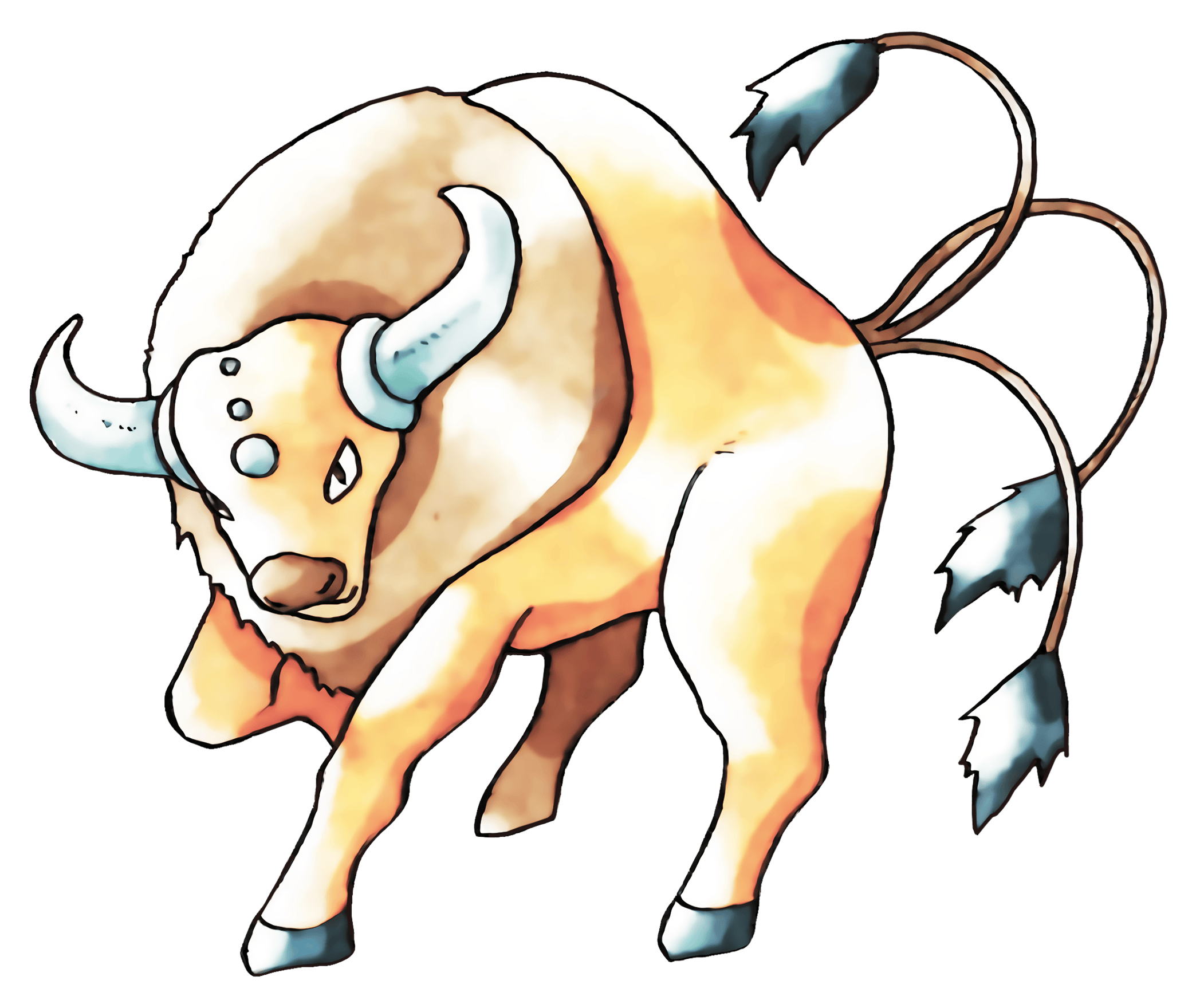 Tauros pokemon, normal type, galarian form, bull pokemon, wild