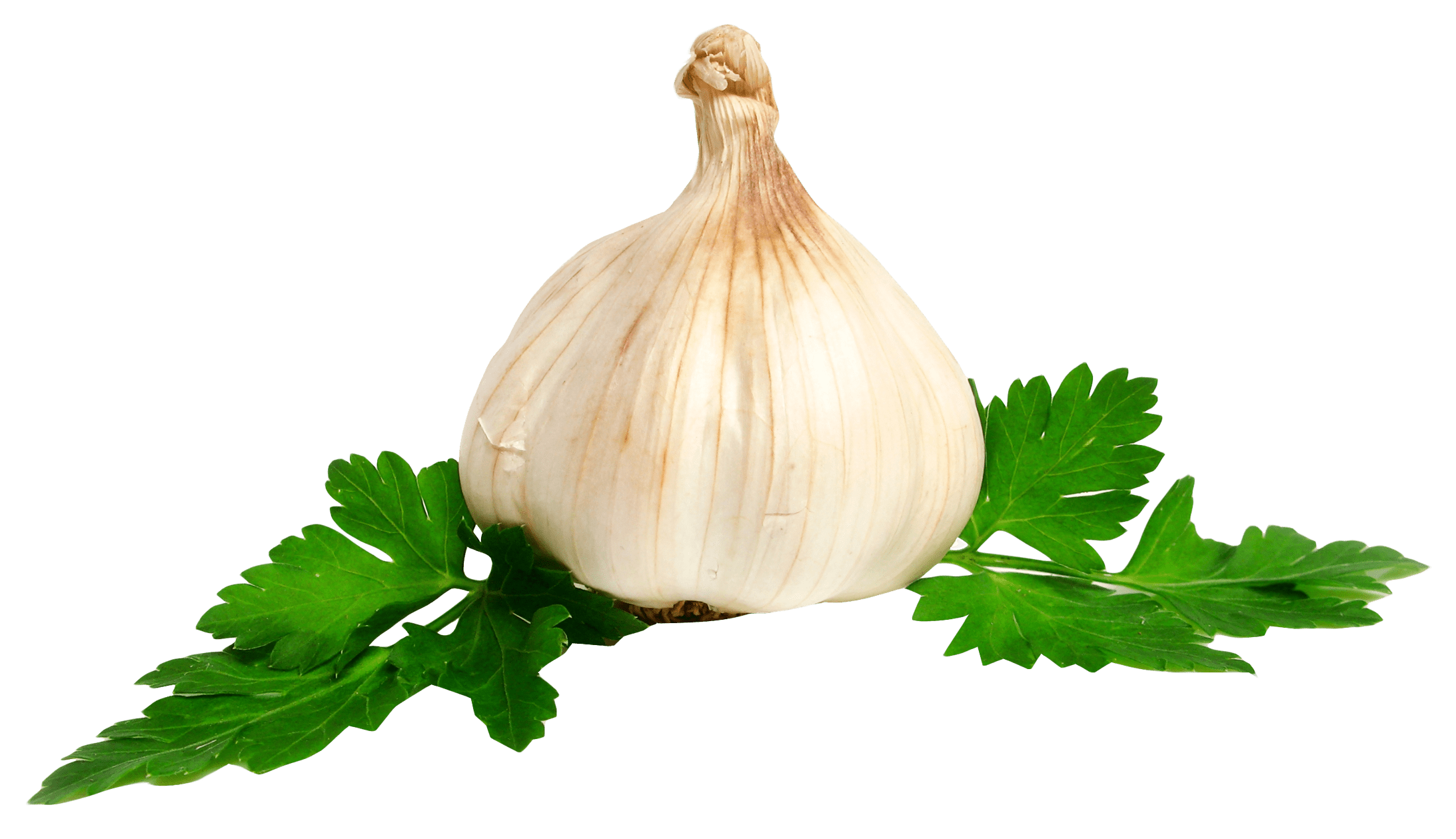Download garlic transparent and use any clip art,coloring,png graphics in your . Garlic Png Images Transparent Background Png Play