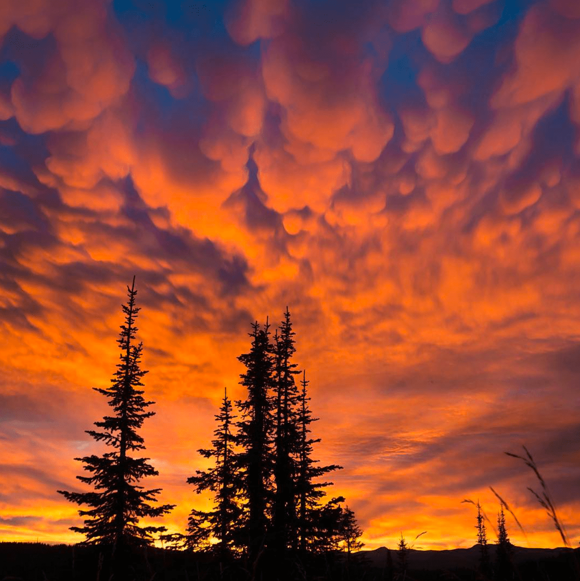 Sunset on the Pacific Northwest Trail
