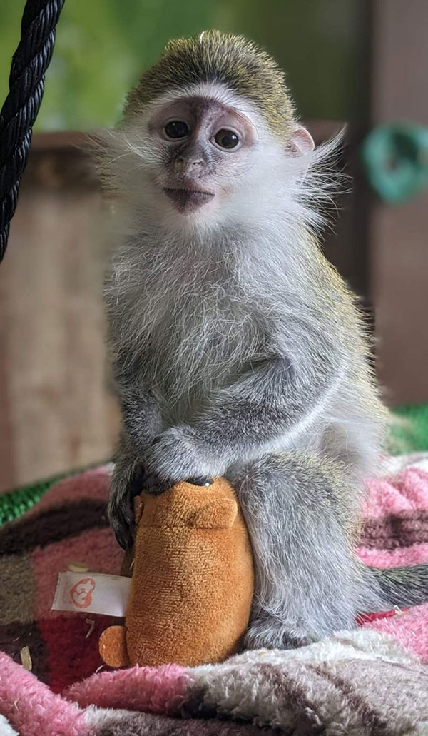 Pocono snake & animal farm