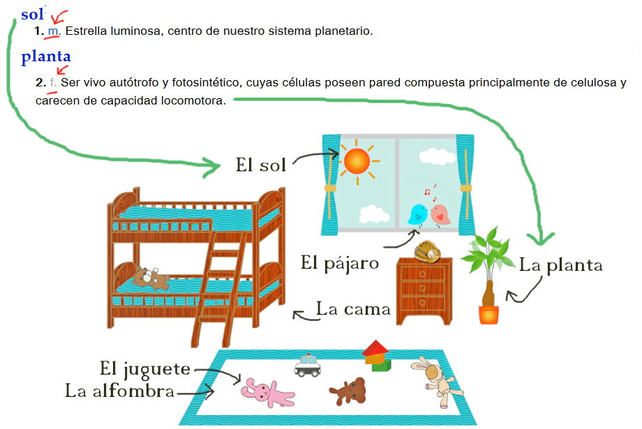 gender in spanish spanish masculine feminine explained in detail