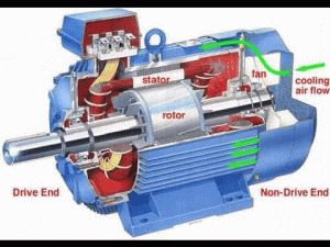 Induction Motor Polytechnic Hub
