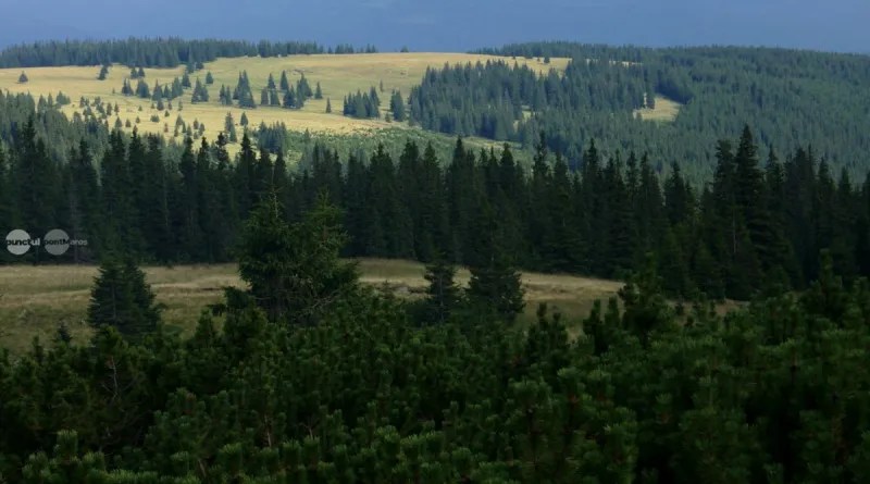 Maros megye természeti kincsei kiemelt védelem alá kerülnek