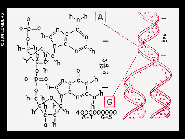 Voyager Golden Record image diagram of DNA and molecular structures