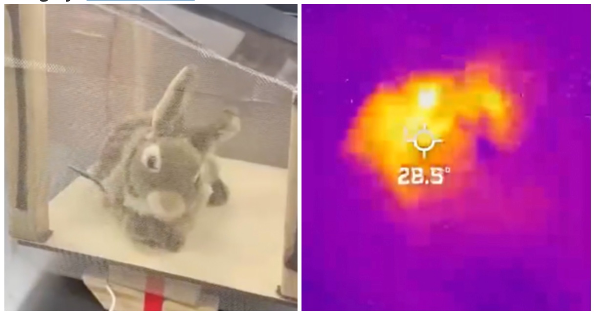 ロボットウサギ