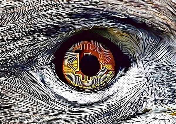 Institusi Semakin Giat Adopsi Bitcoin, Pertanda Positif atau Negatif?