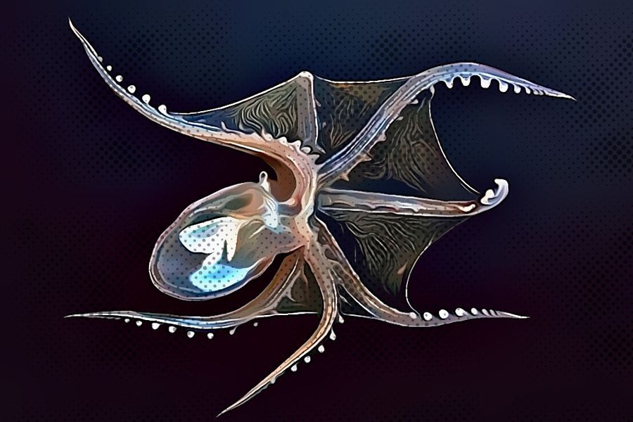 Analisis Pergerakan Bitcoin Setelah Terjun ke Zona Koreksi