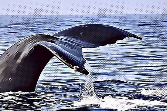 Bitcoin Kembali Terjun ke Area Koreksi, Aksi Ambil Untung Faktor Penyebabnya