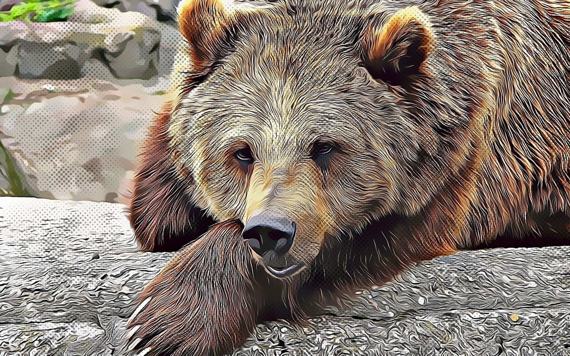 Aksi Panic Selling Pengaruhi Trend Penurunan Harga Bitcoin Saat ini