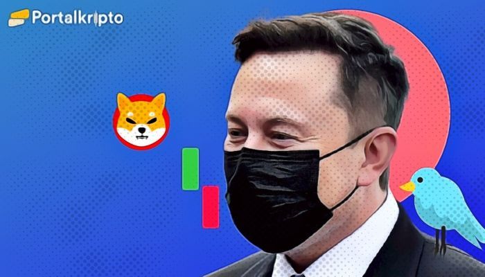 shiba inu elon musk