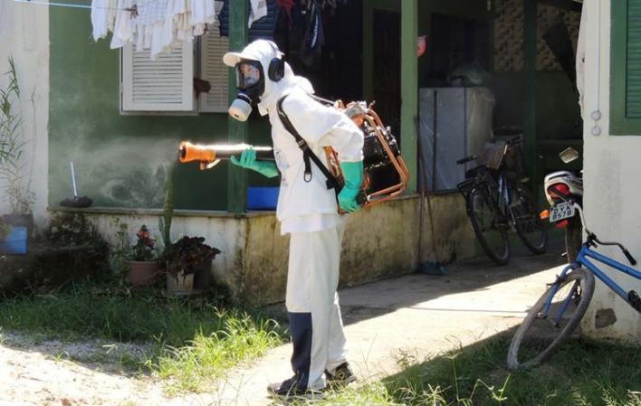 Ainda de acordo com a equipe, na última ADL, em outubro, o resultado foi de 0.5. Índices abaixo de 1 são considerados satisfatórios em relação à infestação. (Foto: Divulgação/PMU)