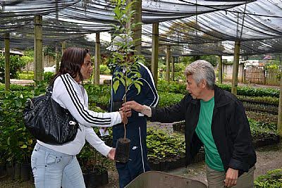 Os interessados devem levar comprovante de endereço para fazer a retirada. (Foto: Divulgação/PMP)